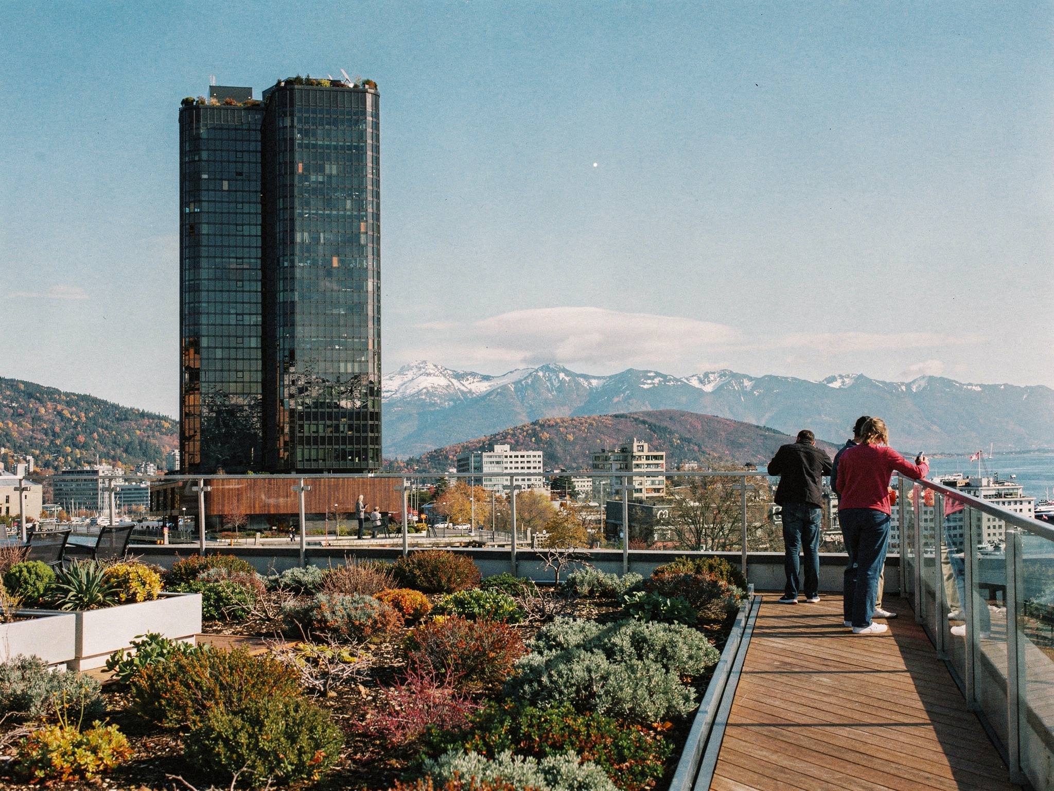 Planted rooftop terrace above the harbour with the tower beyond