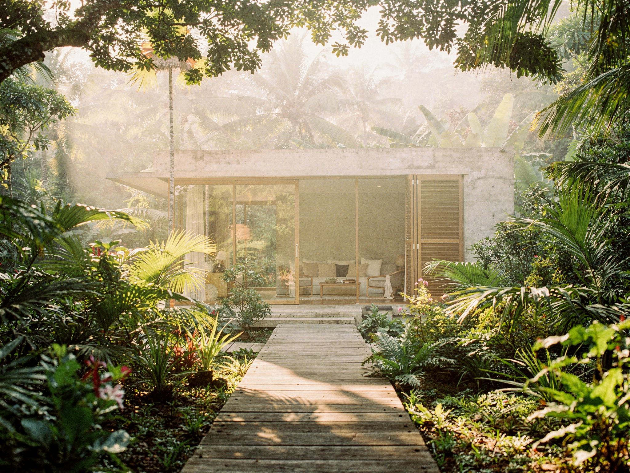 Timber boardwalk through lush planting to a pavilion