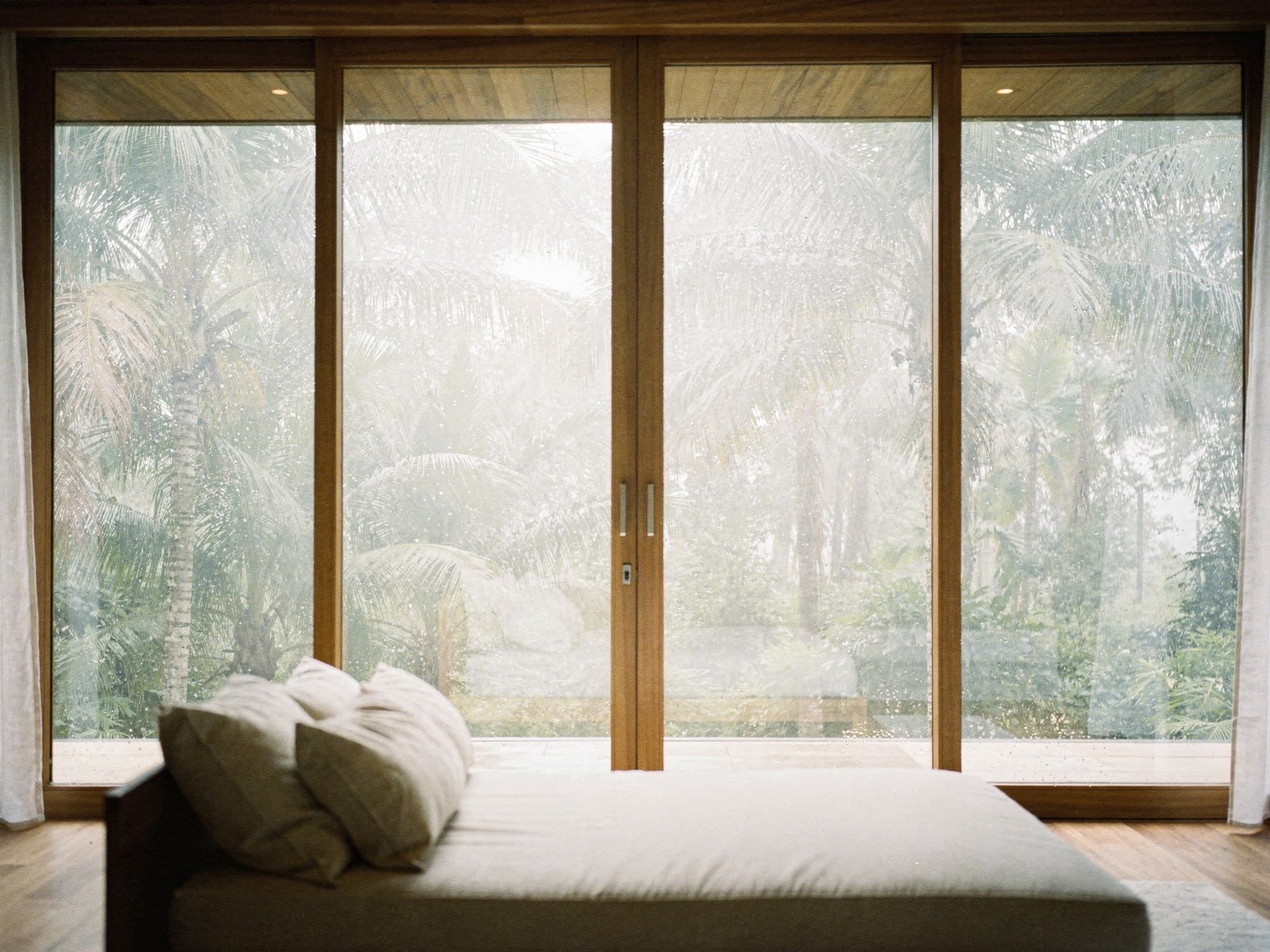 View from the suite through full-height glass to the misty palm ravine