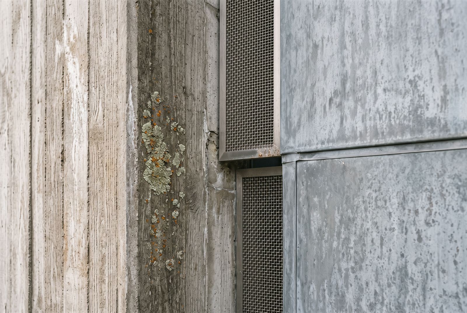 Detail where board-marked concrete, a stainless mesh intake and pre-weathered zinc panels meet, lichen already claiming the seam