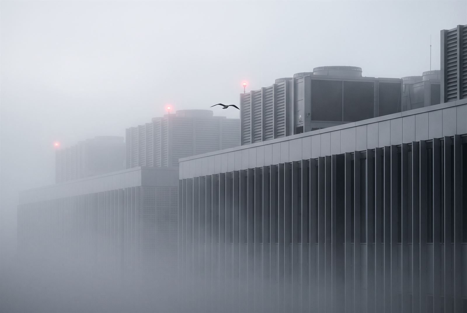 Rooftop cooling plant and red beacon lights dissolving into sea fog above the fin facade, a gull crossing the frame